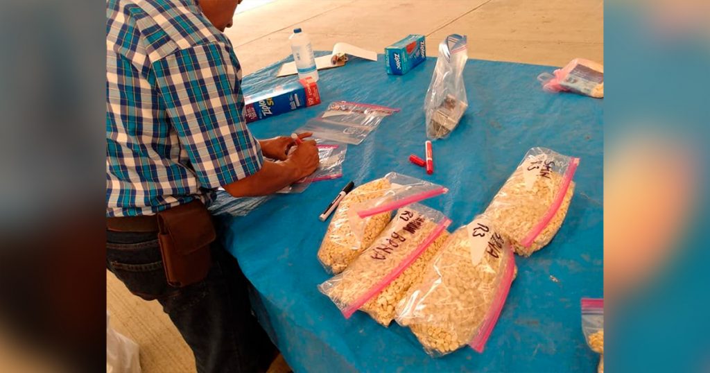 Generan tratamiento para la conservación de granos