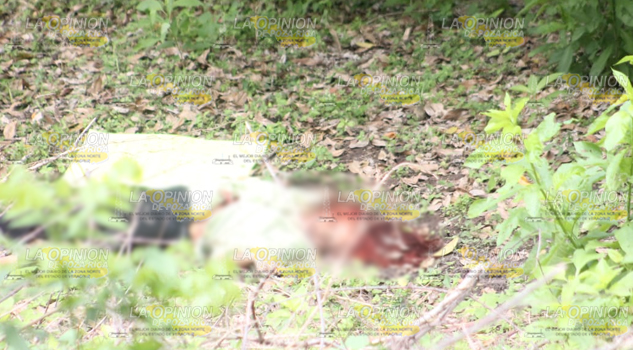 Le reventaron la cabeza