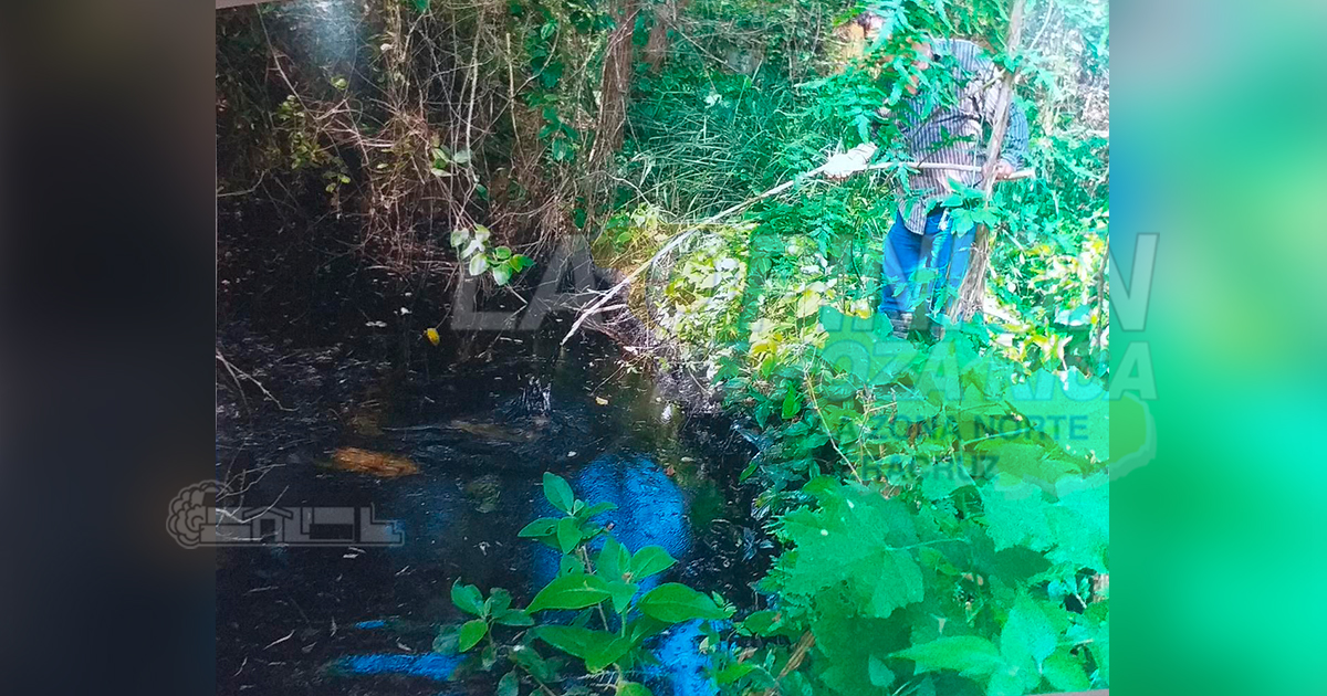 Escurrimientos de aceite afecta un predio de Cerro Azul