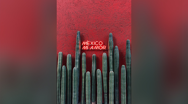 ¿Qué hacer en Ciudad de México? Deslúmbrate con el desborde de cultura e historia que encierra la Capital