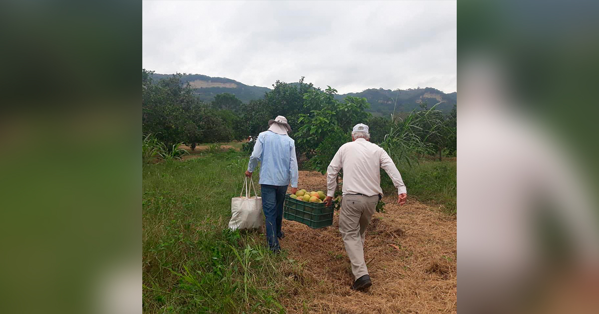 Buscan implementación de nuevas técnicas de producción orgánica