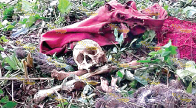 Campesinos encuentran osamenta