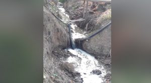 Crecen sospechas contra IQC en Álamo