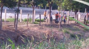 Crecen sospechas contra IQC en Álamo