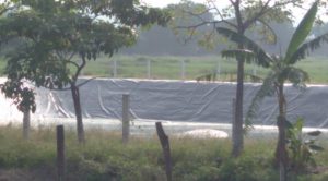 Crecen sospechas contra IQC en Álamo