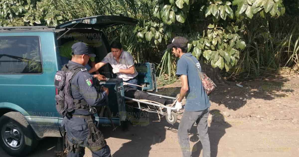 Encuentran 3 cuerpos degollados al interior de parcela de caña.