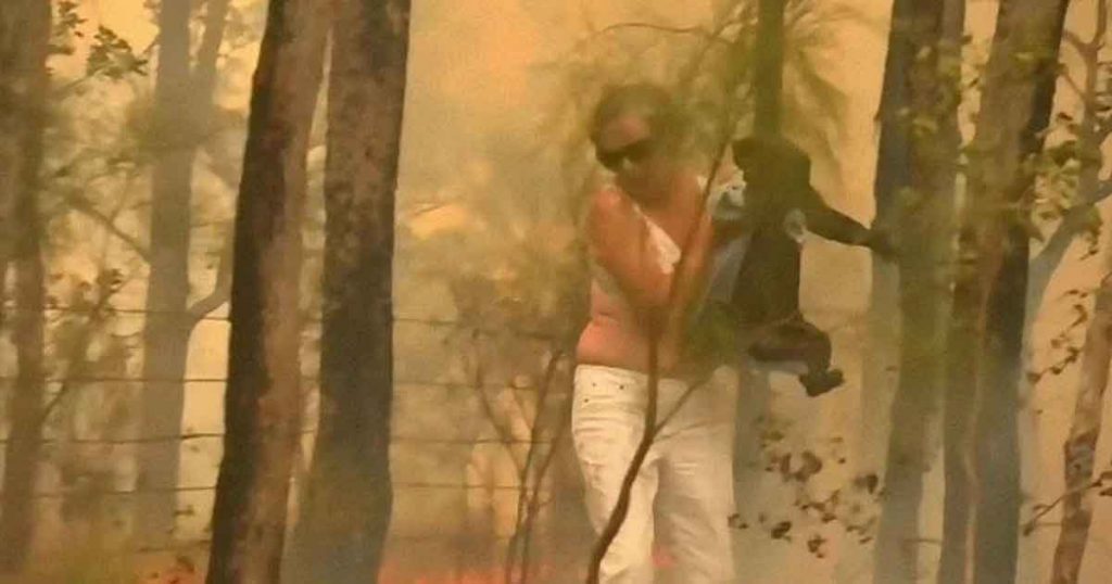 Una mujer salva a un koala gravemente herido de morir en un incendio en Australia