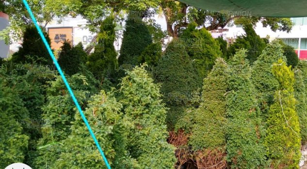 Puro gastar en Poza Rica, terminó Buen Fin y ahora Navidad