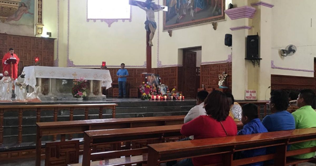 Músicos están de fiesta