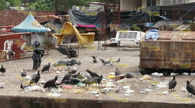 Mercado abandonado, enorme foco de infección
