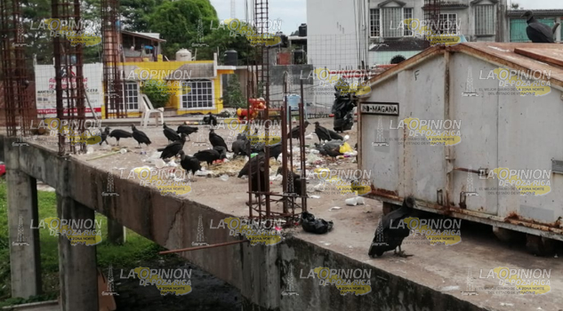 Mercado abandonado, enorme foco de infección