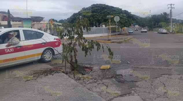 Piden que tapen los baches en la Rafael Nieto de Cerro Azul