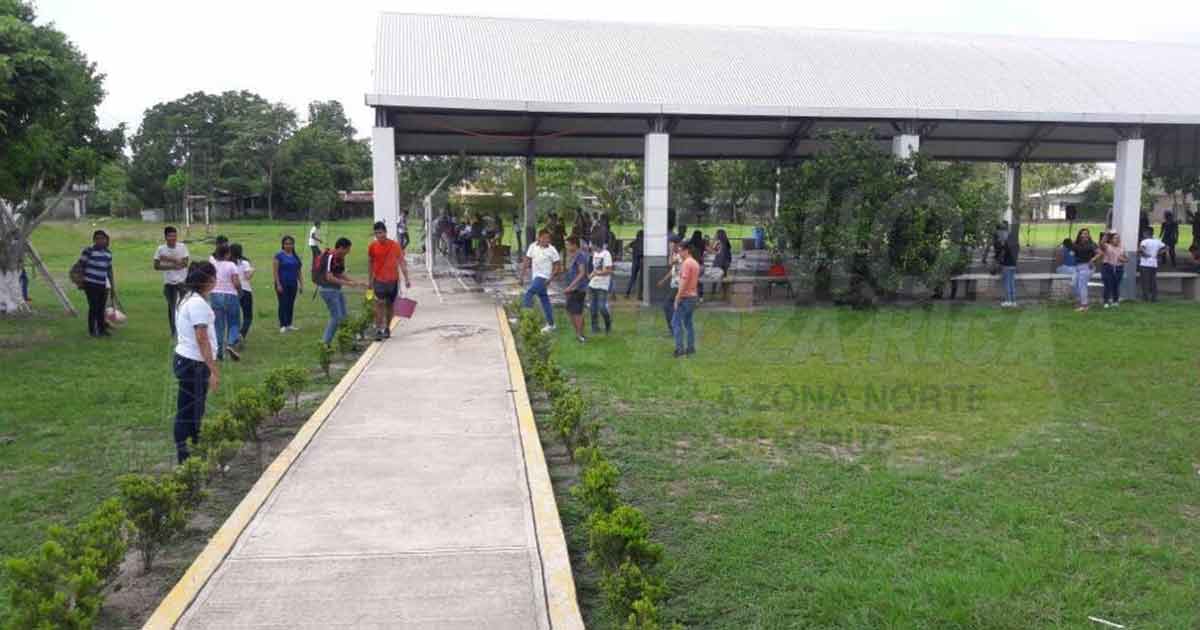 Estudiantes impulsan programas ambientales