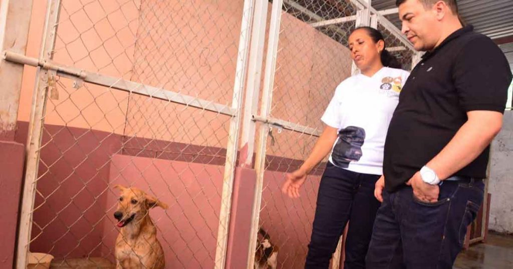 Inauguró Gómez Cazarín instalaciones de “Callejeritos Los Tuxtlas A.C.”