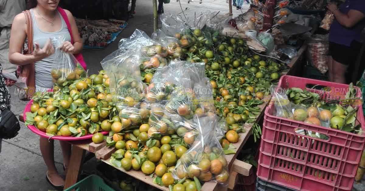Sube 300% el precio de la mandarina en Tuxpan