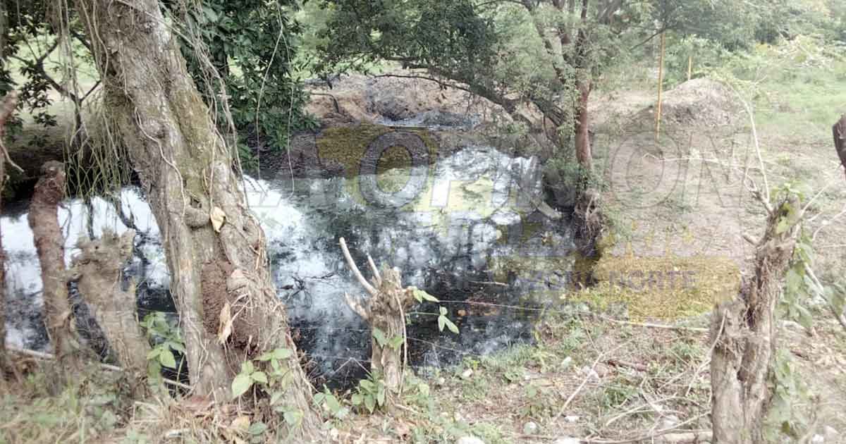 Una más de PEMEX en Papantla. Derrame afecta rancho y arroyo