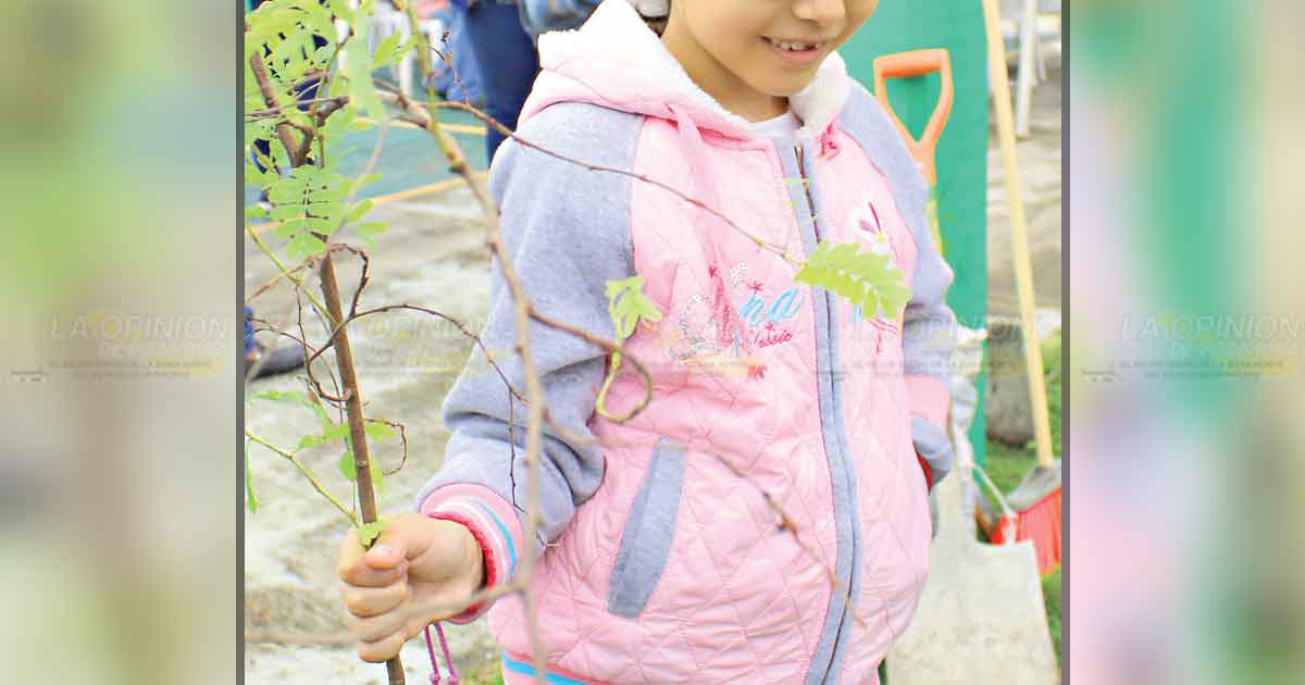 Más áreas verdes en toda la ciudad
