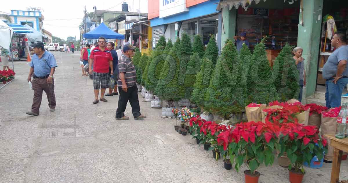 Instalan tianguis decembrino en el municipio de Cazones