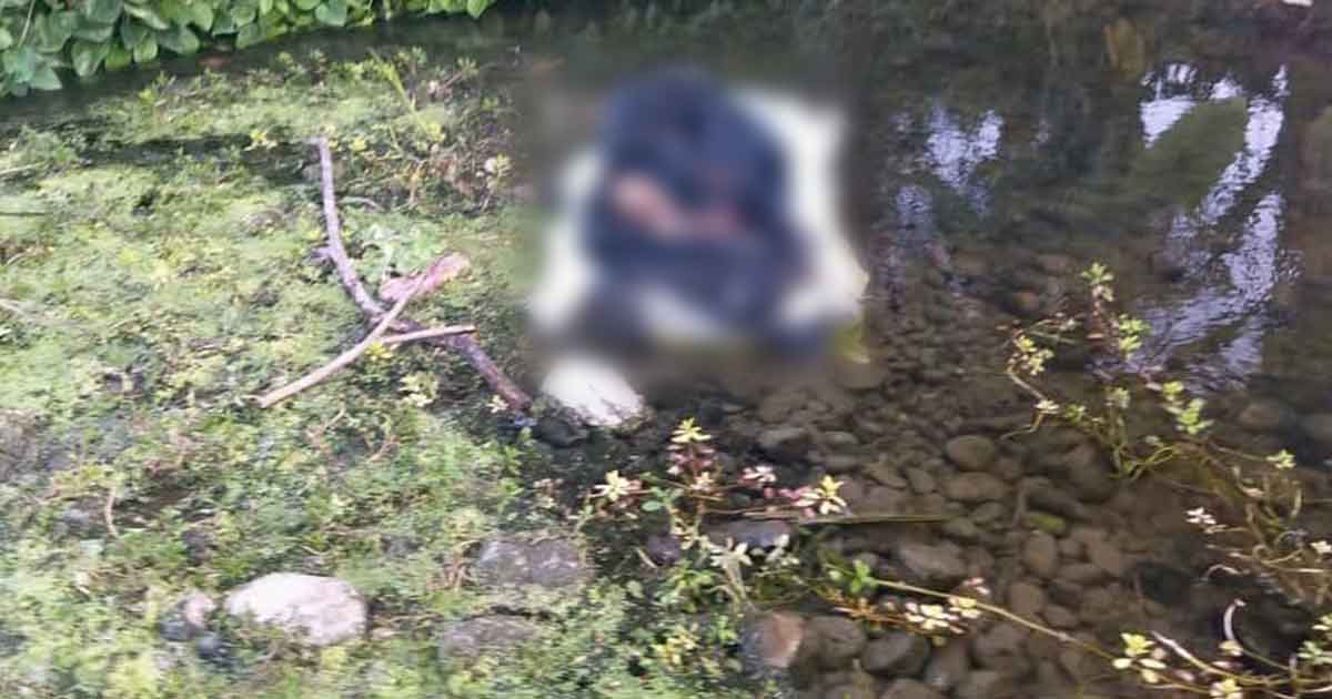 Retrospectiva de feminicidios