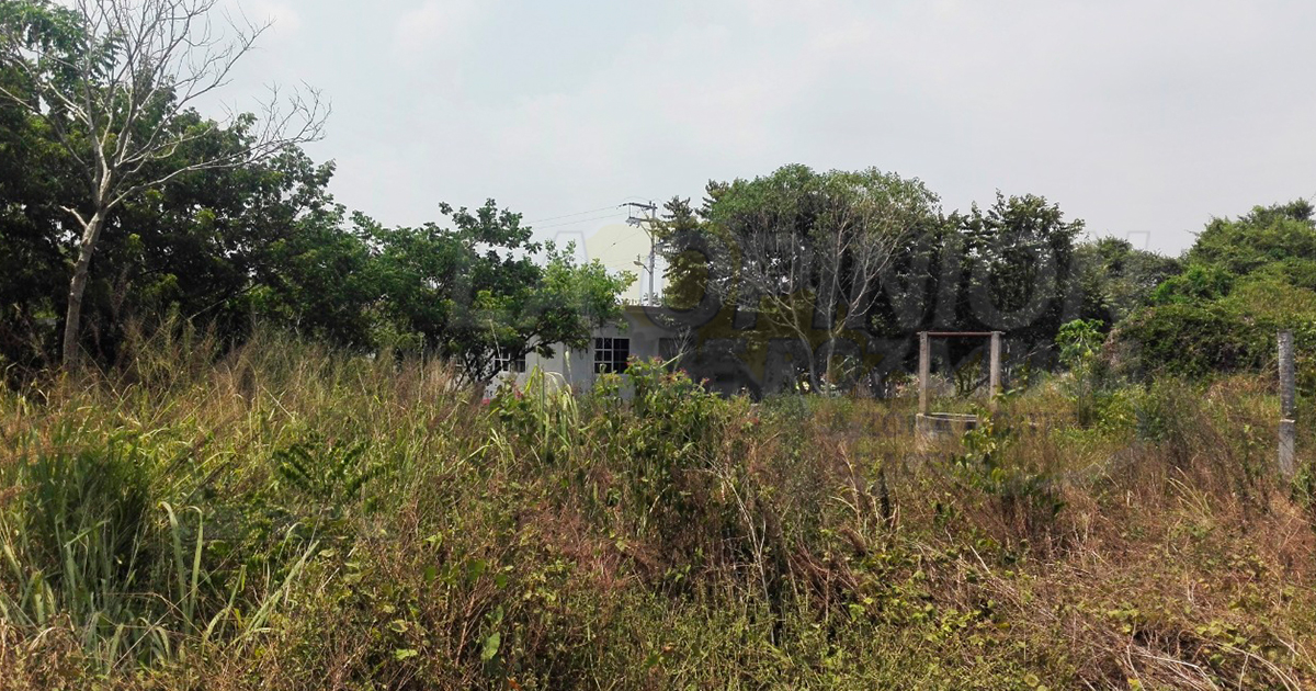 Acaparan cientos de lotes otorgados por el Estado