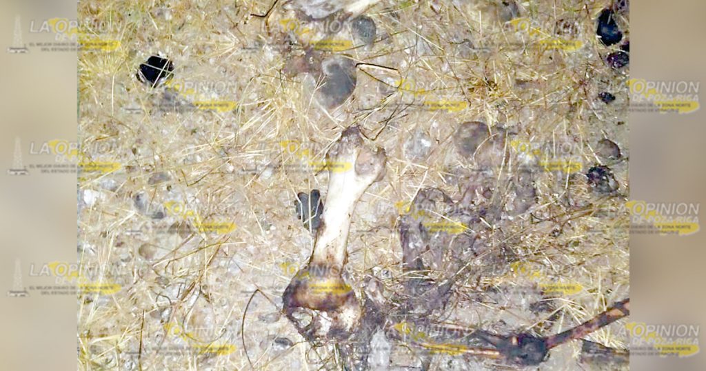 Hallan cuerpo putrefacto