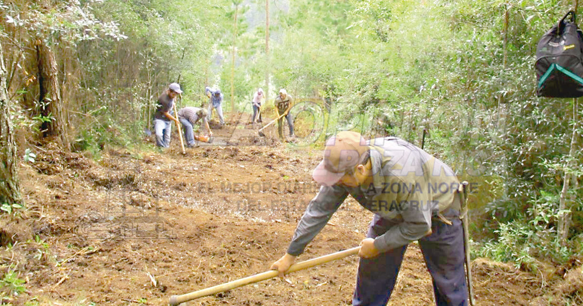 Otro año sin dinero para áreas protegidas