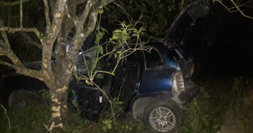 ¡Un muerto y dos lesionados en trágico choque de auto contra árbol!
