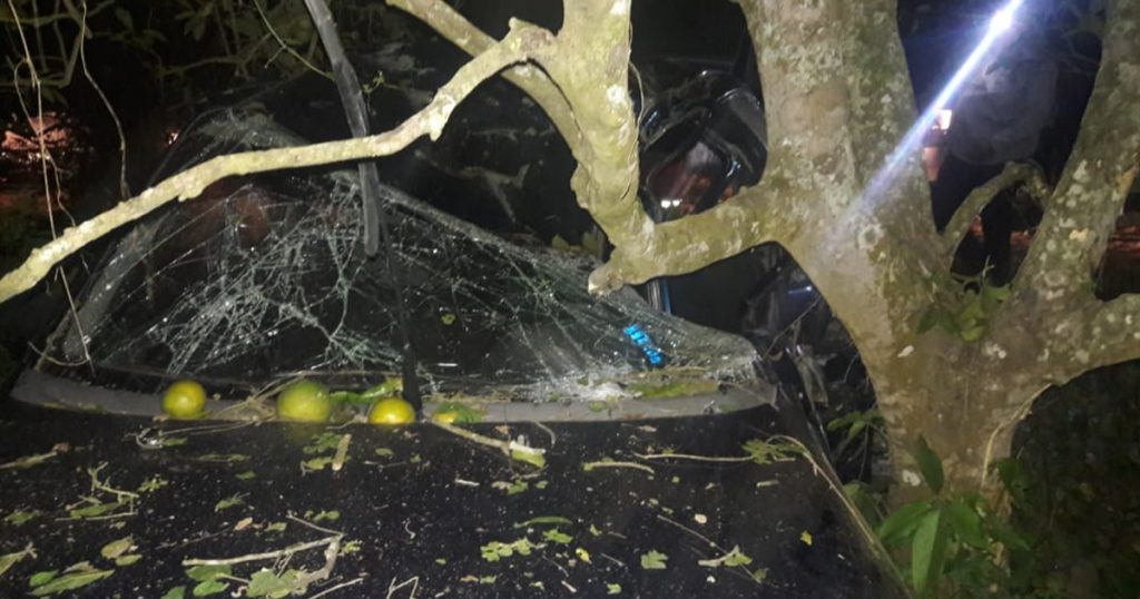 ¡Un muerto y dos lesionados en trágico choque de auto contra árbol!