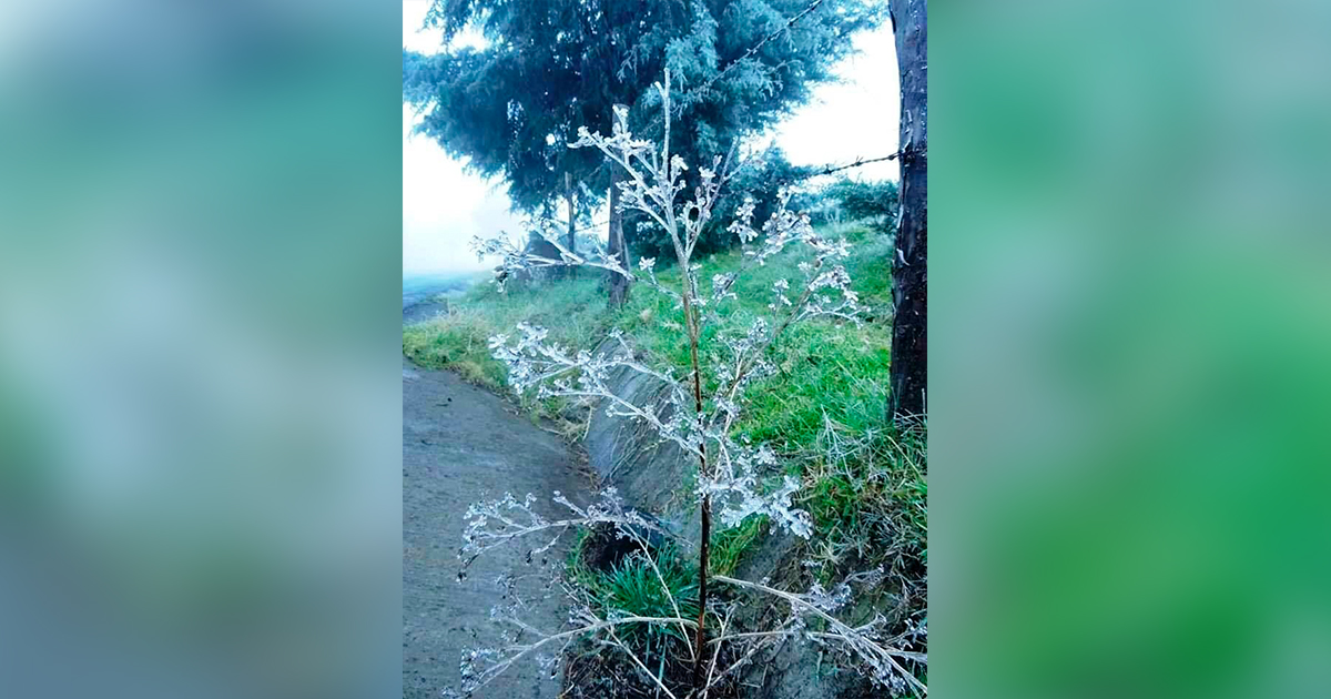 Heladas en municipios de la región serrano costeña desde Misantla – Perote