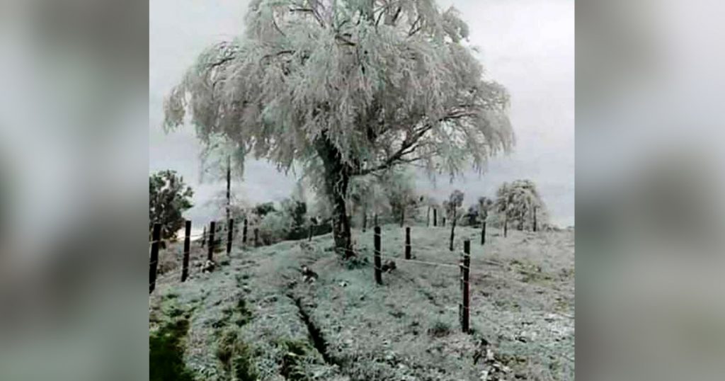 Heladas en municipios de la región serrano costeña desde Misantla – Perote