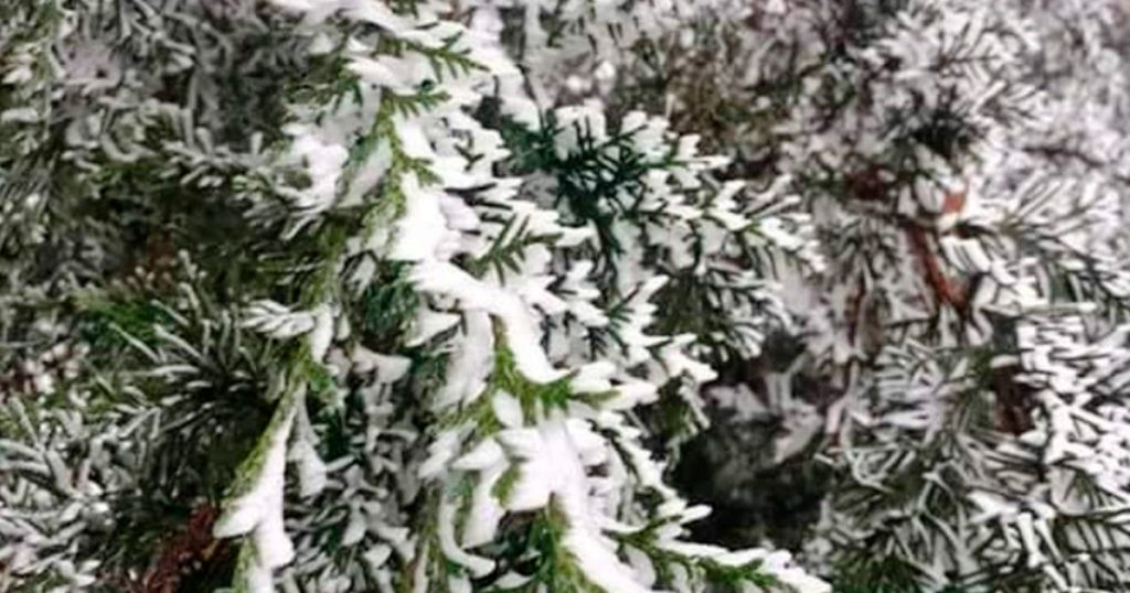 Heladas en municipios de la región serrano costeña desde Misantla – Perote