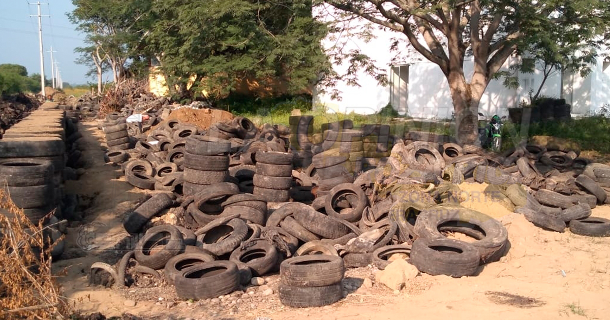Construirán muros con llantas en Álamo, para cuidar el medio ambiente