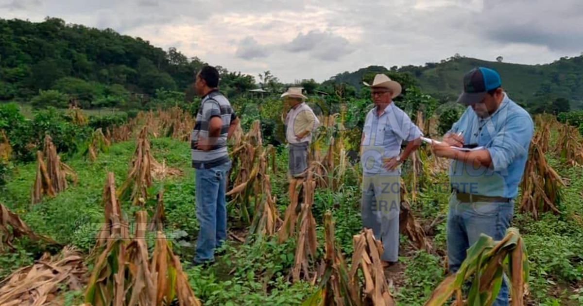 Se termina el año y los apoyos no se pagaron