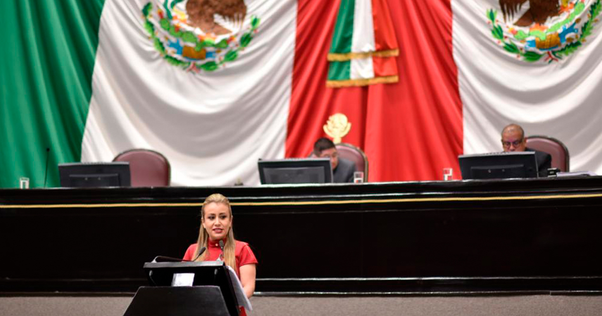 Avala Congreso actualización de padrones estatal y nacional del café