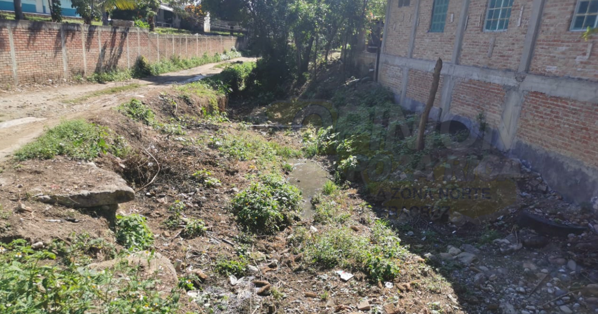 Familias de Papantla, viven en medio de podredumbre