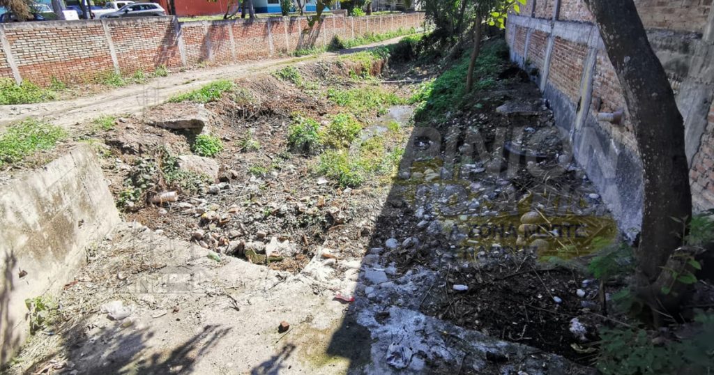 Familias de Papantla, viven en medio de podredumbre