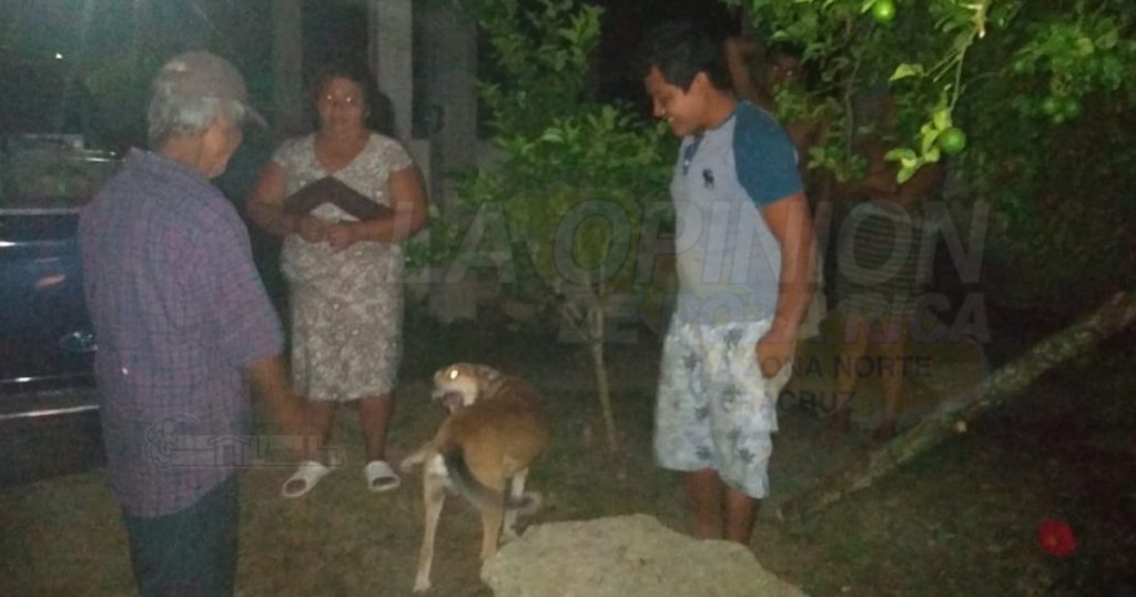 Abuelito extraviado, volvió a su hogar