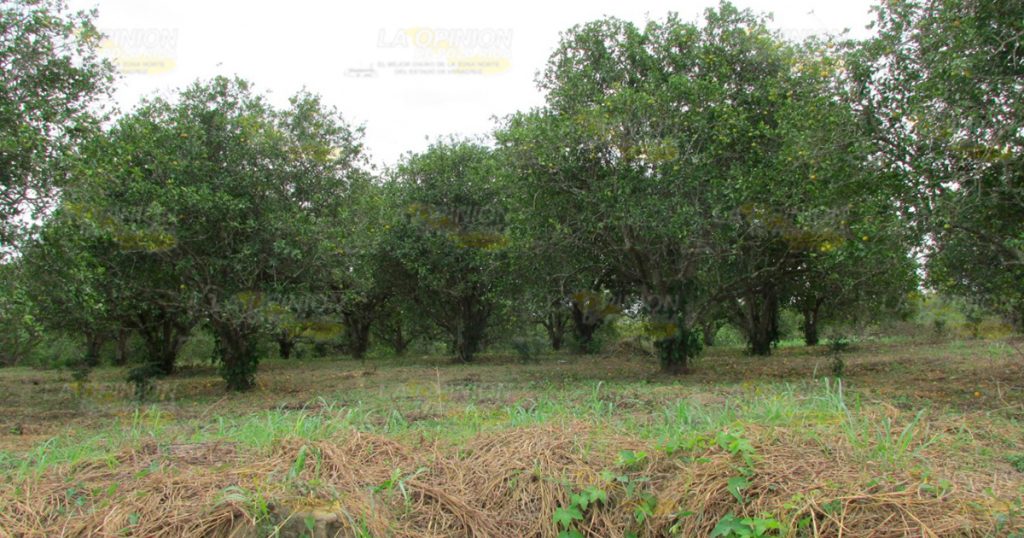 Cazador se mata con su propia arma
