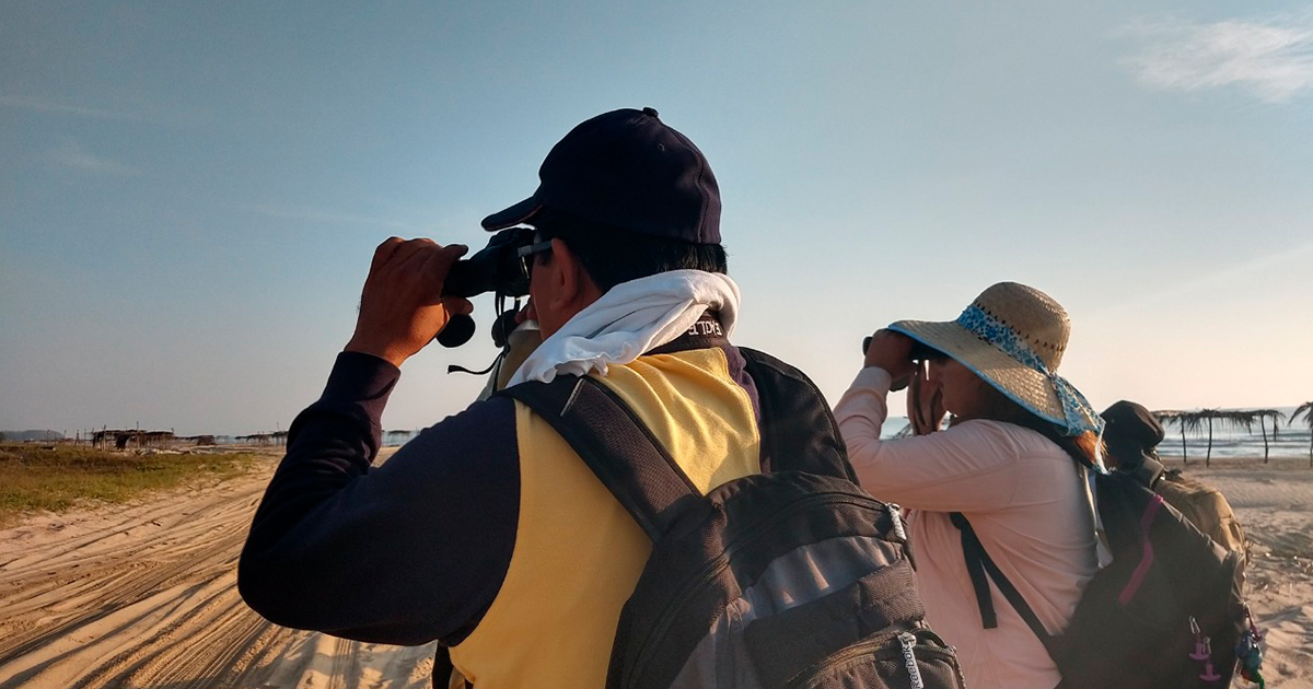 Preocupación por disminución de poblaciones de aves