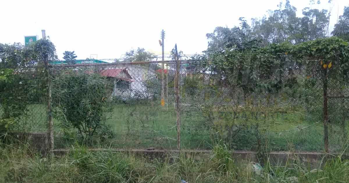 Urgen acciones contra el dengue en Cerro Azul