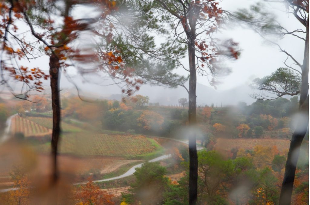 Rachel Cobb, la fotógrafa que captura el viento