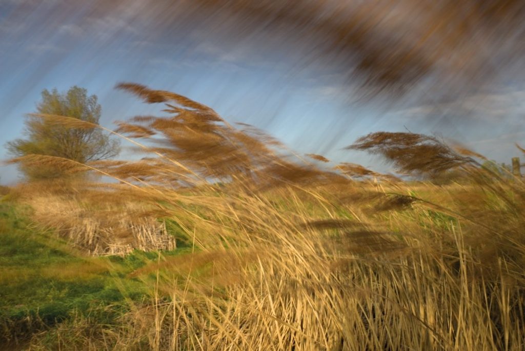 Rachel Cobb, la fotógrafa que captura el viento