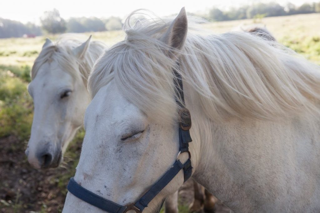 Rachel Cobb, la fotógrafa que captura el viento