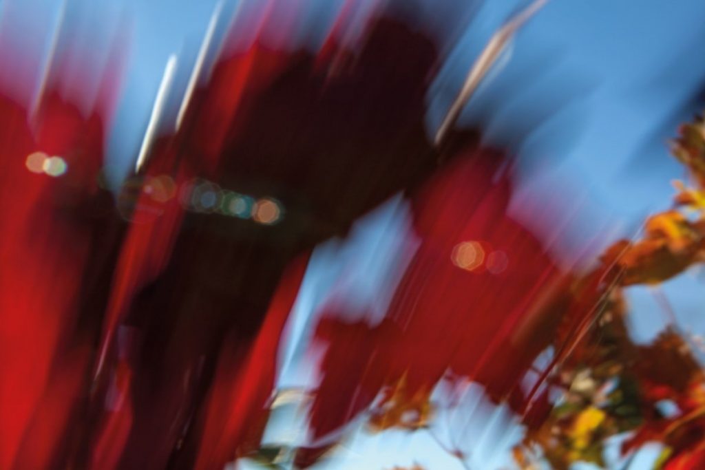 Rachel Cobb, la fotógrafa que captura el viento