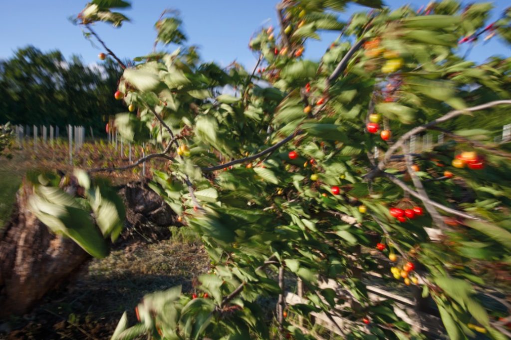 Rachel Cobb, la fotógrafa que captura el viento