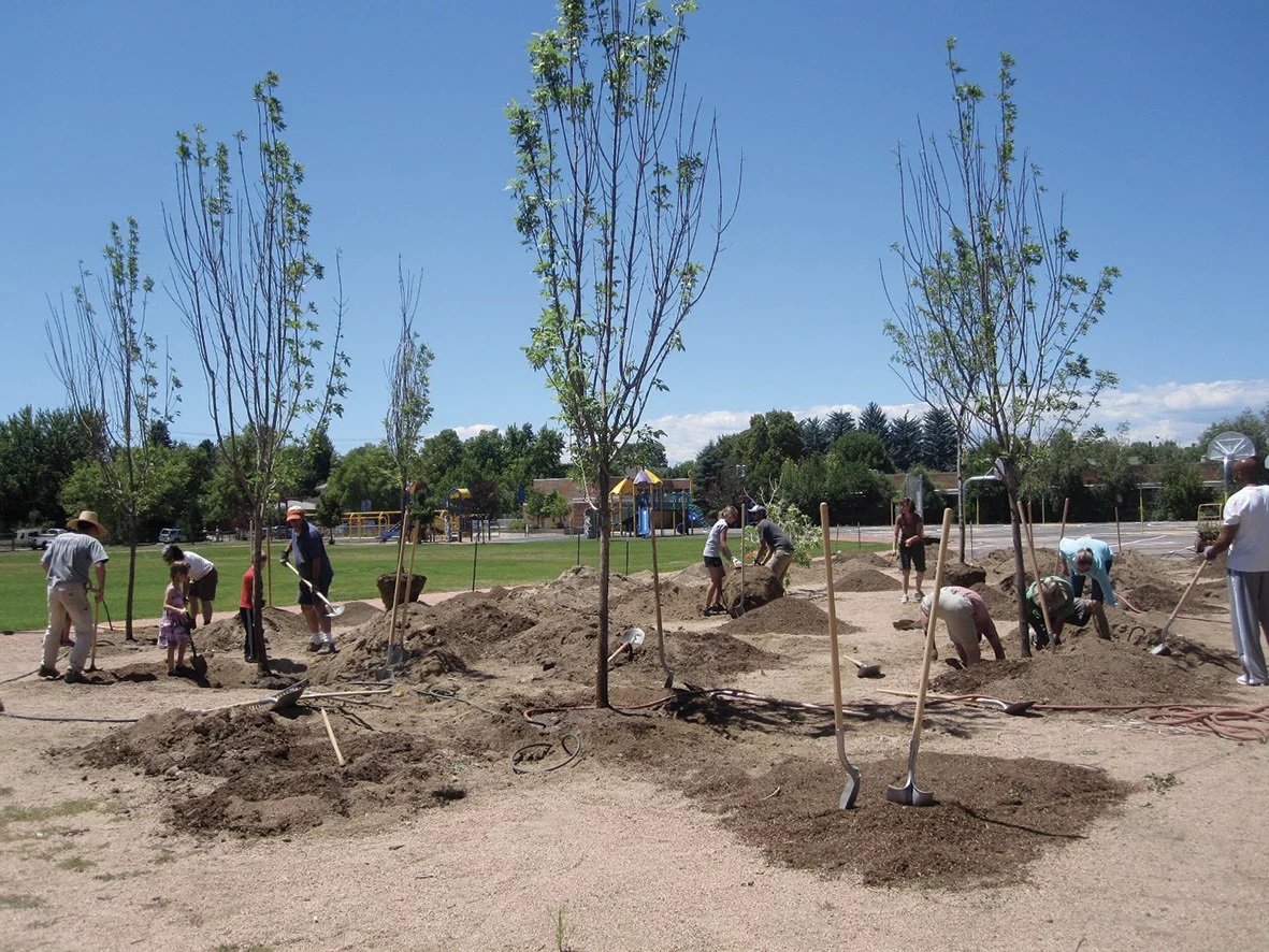 El artista mexicano Pedro Reyes convierte 1.527 armas en palas para plantar árboles