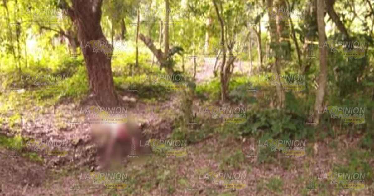 Encuentran a otra persona sin vida en este municipio