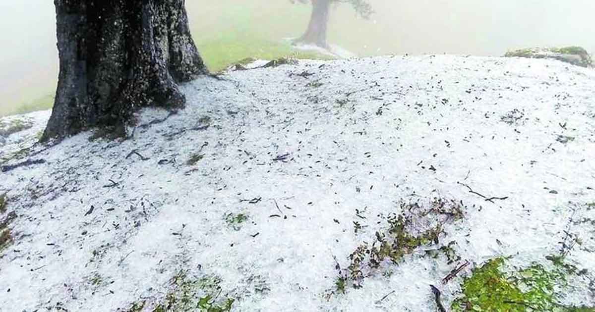 ¡A abrigarse! Viene una fría Navidad para los veracruzanos