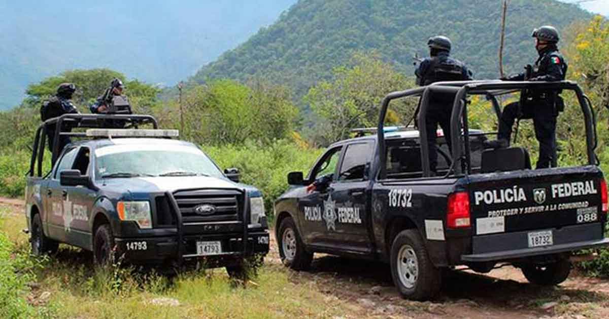 Secuestradores liberan a los 4 profesores de telebachillerato