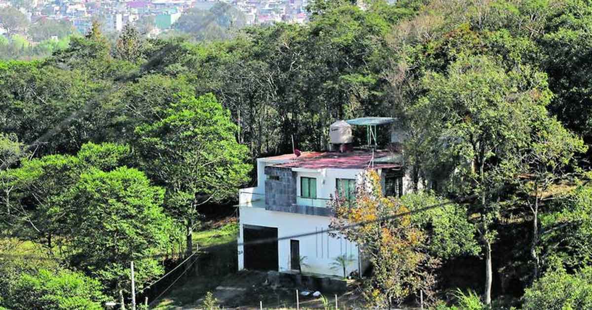 Xalapa está quedándose sin árboles; ha perdido 85% de cobertura forestal
